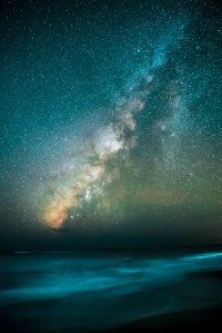 A multitude of stars and the Milky Way in the night sky. 
Photo: Casey Horner - Unsplash
